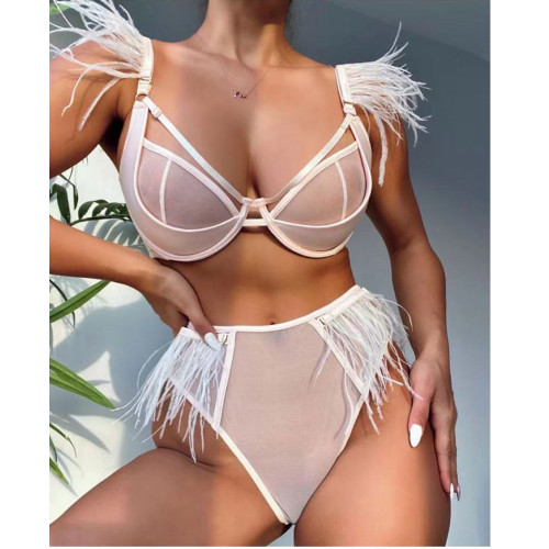 transparent sexy bra briefs underwear set